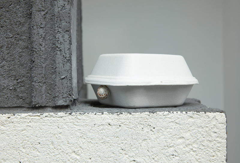 Window Space: Glen Hayward