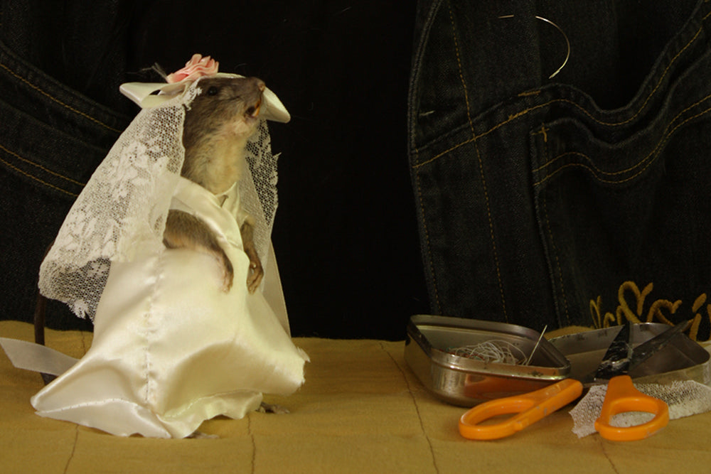 Andrea du Chatenier: The Cell and the Bride exhibition photo