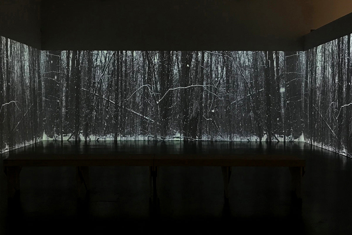 Blood Water Earth exhibition photo