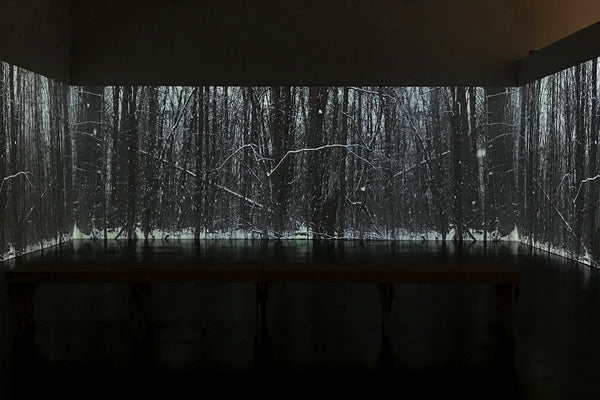 Blood Water Earth exhibition photo