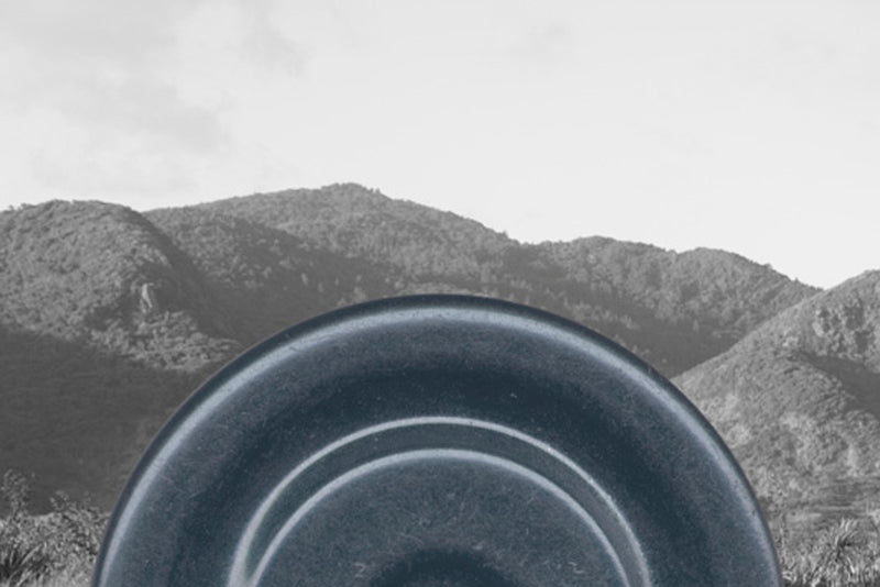 Gavin Hipkins: Second Empire