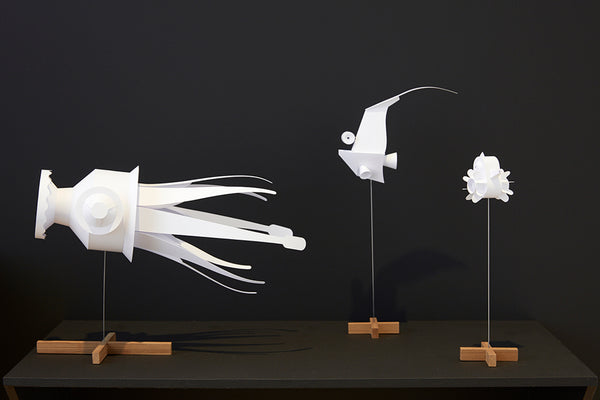 Phillip Fickling: The Fragile Sea exhibition photo