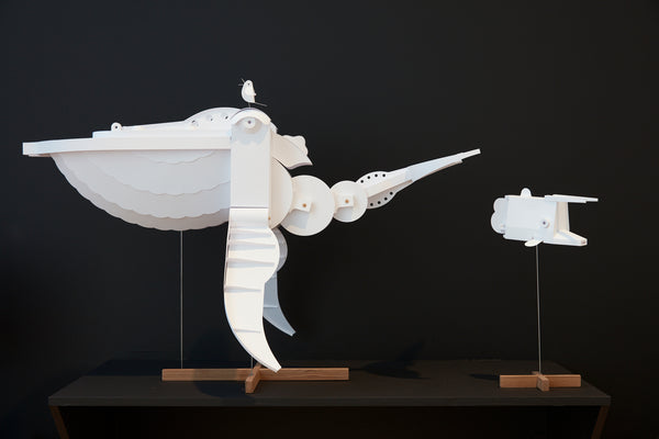 Phillip Fickling: The Fragile Sea exhibition photo