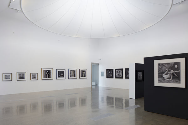 Roger Ballen’s Theatre of the Mind exhibition photo