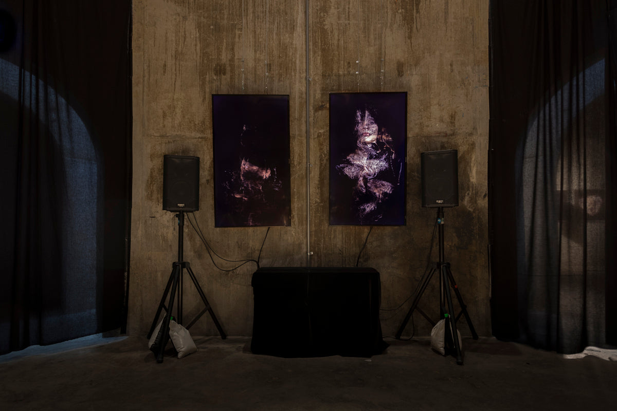 The Exquisite Wound exhibition photo