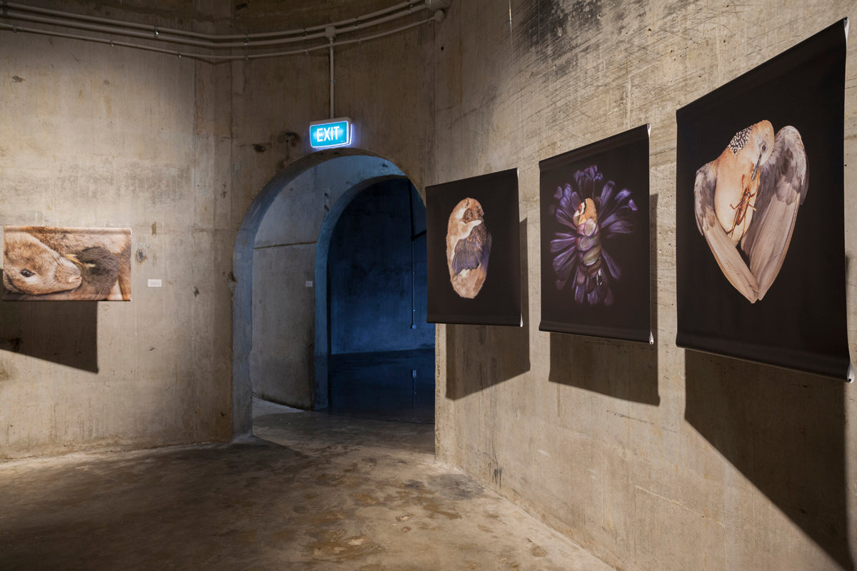 The Exquisite Wound exhibition photo