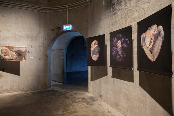 The Exquisite Wound exhibition photo