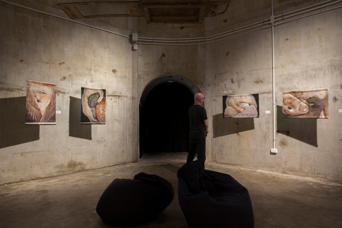 The Exquisite Wound exhibition photo