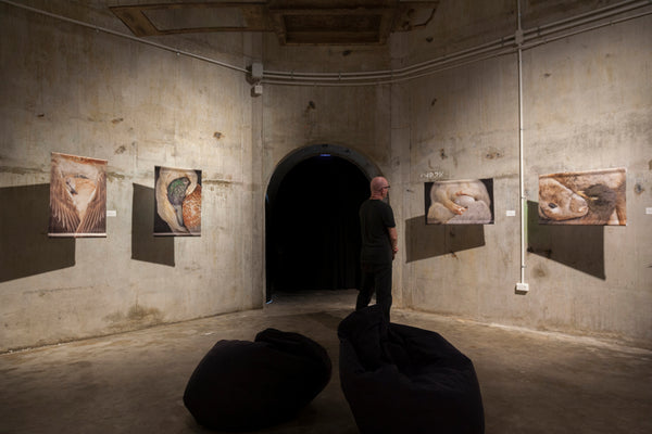 The Exquisite Wound exhibition photo