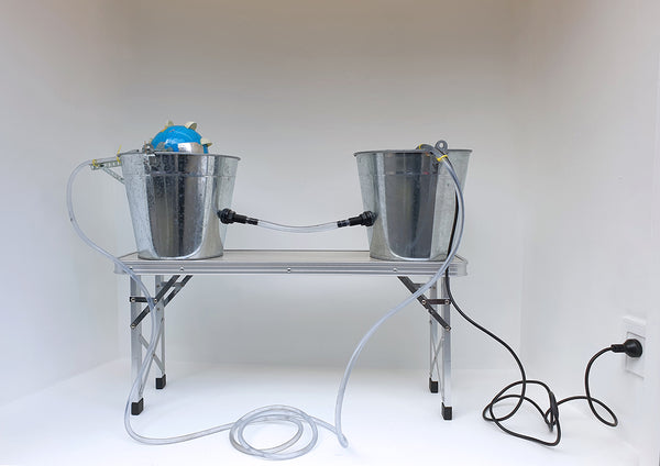 Thinking about Thinking about the future exhibition photo