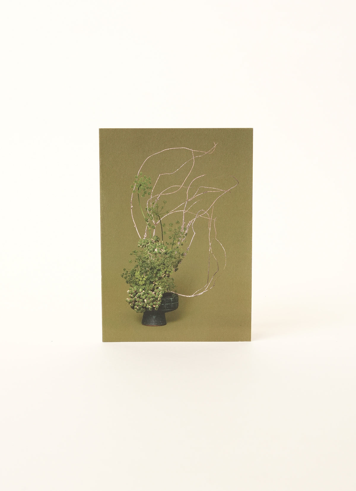 Ann Shelton Card (7 Variations)