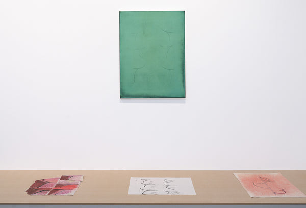 Anoushka Akel | Ifs exhibition photo