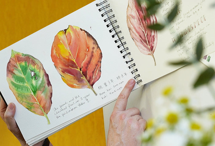 Botanical Art Basics with Jennifer Duval-Smith