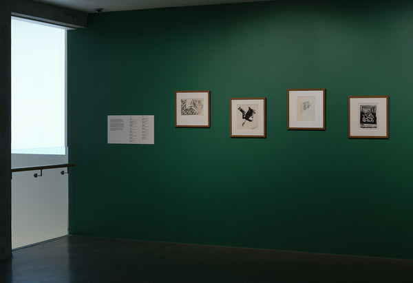 Bill Hammond | Serenading Imagined Worlds exhibition photo