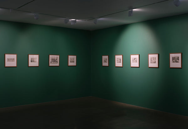 Bill Hammond | Serenading Imagined Worlds exhibition photo