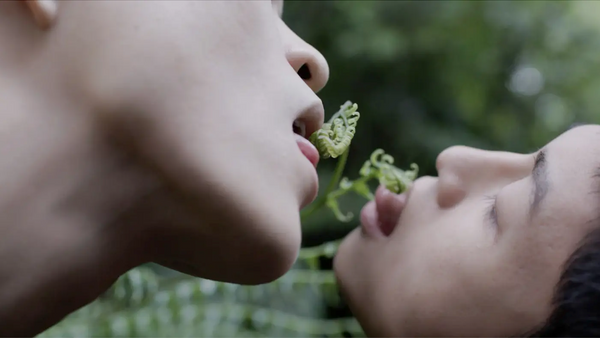 all the forest stands with you | Jonathas de Andrade, Anetta Mona Chişa, Ayesha Green, Arapeta Hākura, Emily Karaka, Agnieszka Polska, Mathilde Rosier, Zheng Bo