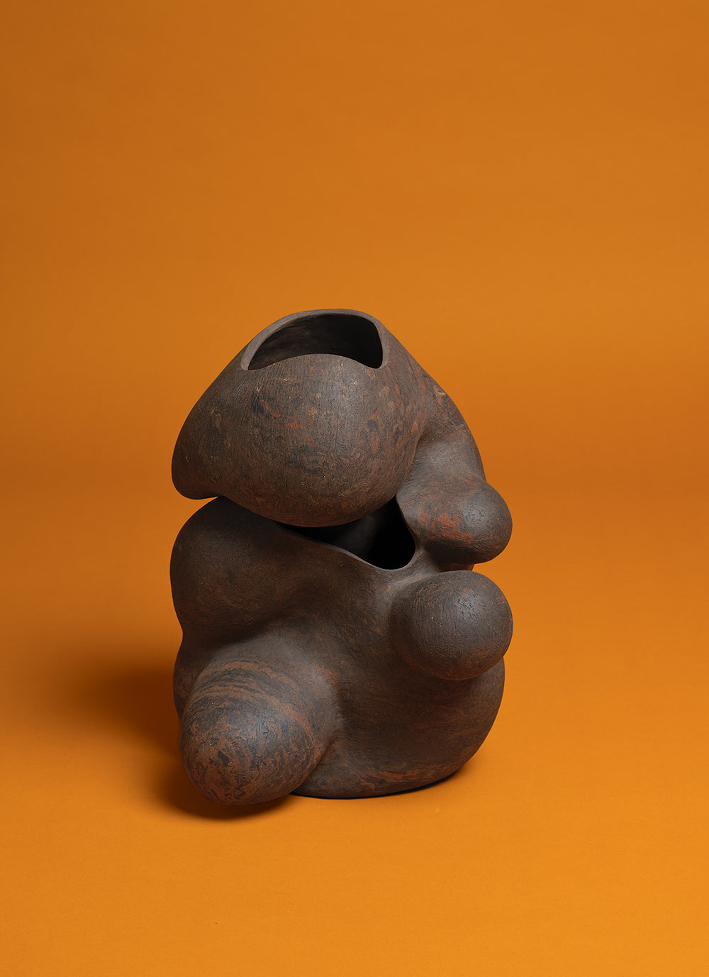 Sha Ganjali | Multiplicity