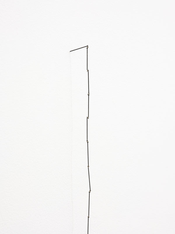 Giorgio Griffa, Peter Robinson | Differences in kind and rhythm exhibition photo