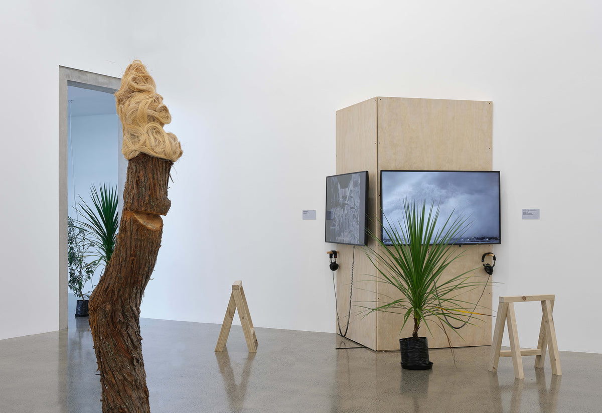 Jonathas de Andrade, Anetta Mona Chişa, Ayesha Green, Arapeta Hākura, Emily Karaka, Agnieszka Polska, Mathilde Rosier, Zheng Bo | all the forest stands with you exhibition photo