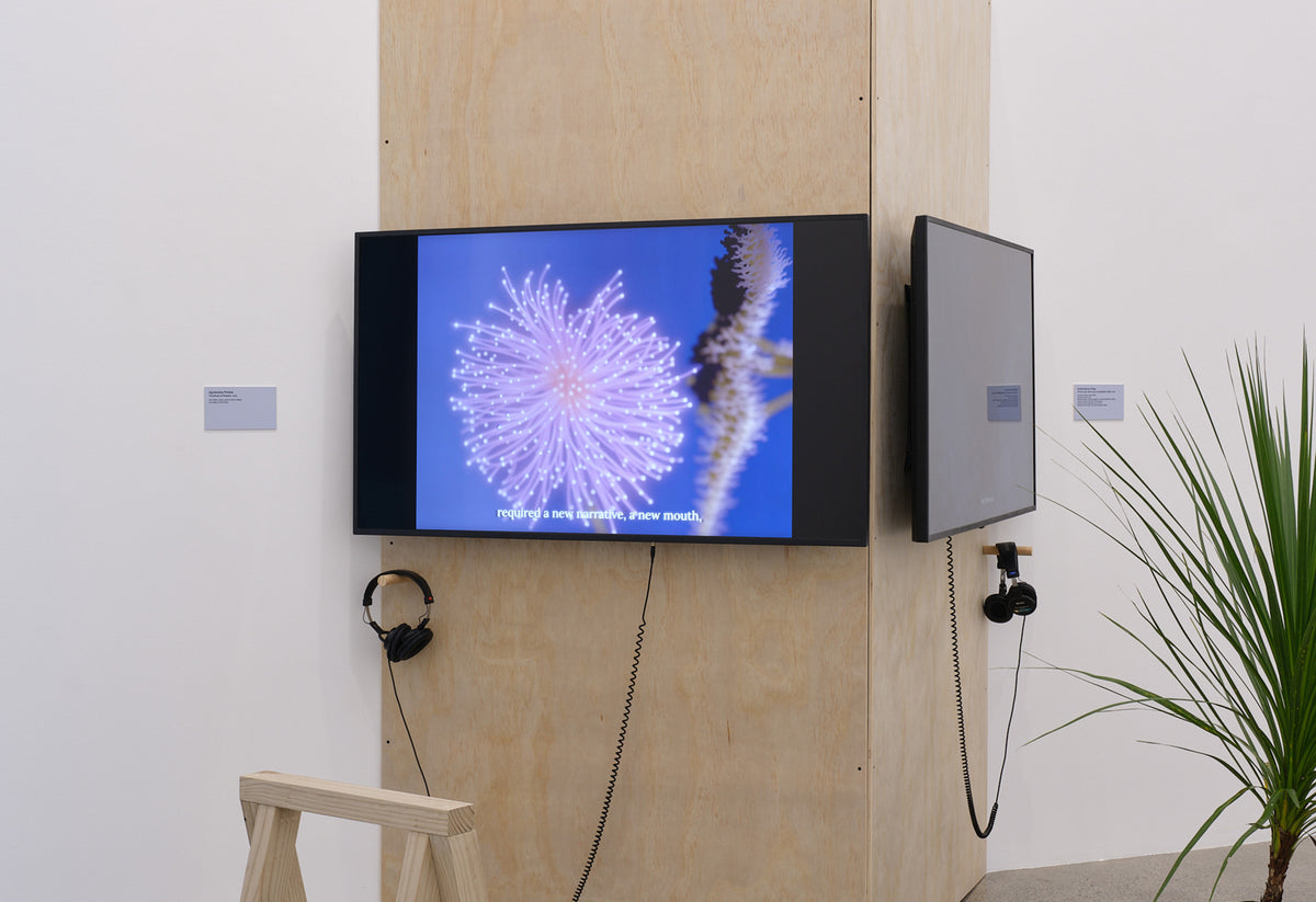 Jonathas de Andrade, Anetta Mona Chişa, Ayesha Green, Arapeta Hākura, Emily Karaka, Agnieszka Polska, Mathilde Rosier, Zheng Bo | all the forest stands with you exhibition photo