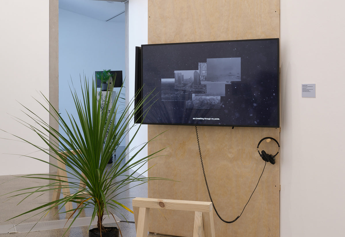 Jonathas de Andrade, Anetta Mona Chişa, Ayesha Green, Arapeta Hākura, Emily Karaka, Agnieszka Polska, Mathilde Rosier, Zheng Bo | all the forest stands with you exhibition photo