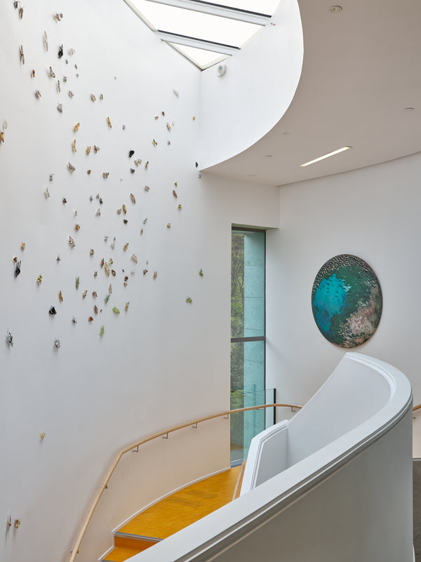 Cellular memories and planetary designs: Three works by Elizabeth Thomson exhibition photo