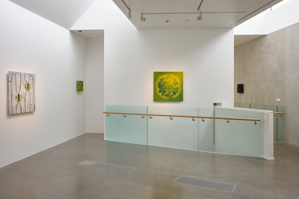 Elizabeth Thomson: Cellular memory exhibition photo