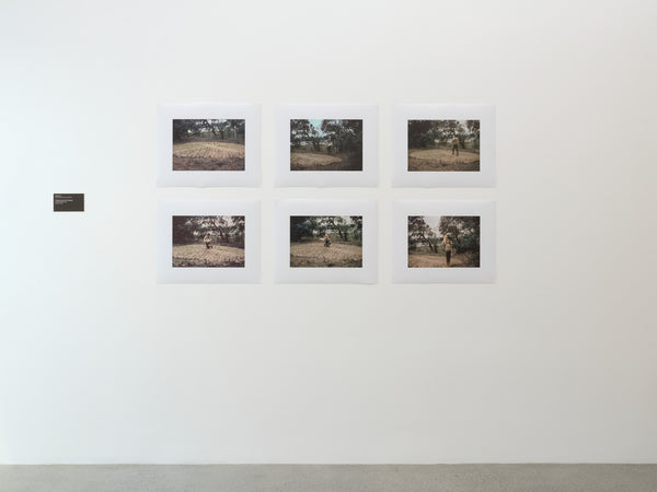 | Photosynthesisers: Women and the lens exhibition photo