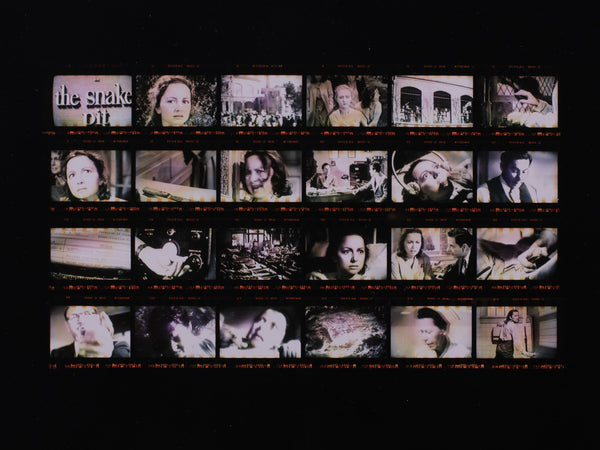 | Photosynthesisers: Women and the lens exhibition photo