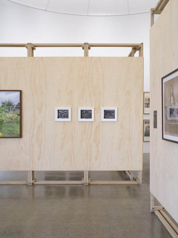 | Photosynthesisers: Women and the lens exhibition photo