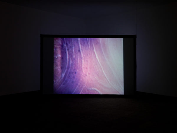 | Photosynthesisers: Women and the lens exhibition photo