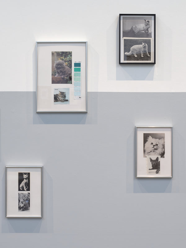 Ava Seymour: Domestic Wild exhibition photo