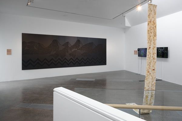 Ihirangaranga / Resonances of the Forest: Toi Taiao Whakatairanga exhibition photo