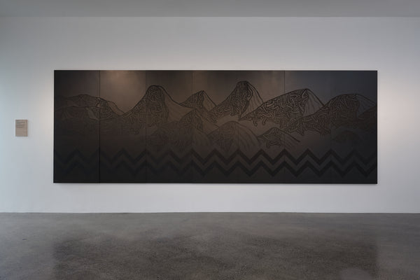 Ihirangaranga / Resonances of the Forest: Toi Taiao Whakatairanga exhibition photo