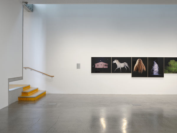 Greta Anderson: There Is Nowhere to Go, There Is Nothing to Do exhibition photo