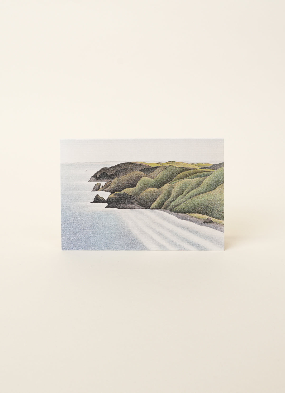 Don Binney Waitākere Coast Cards (10 Variants)