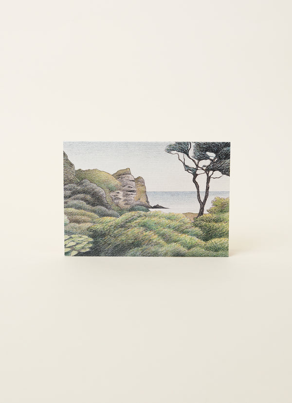 Don Binney Waitākere Coast Cards (10 Variants)