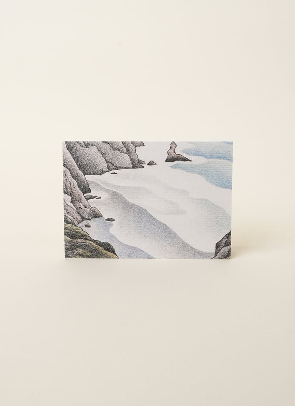 Don Binney Waitākere Coast Cards (10 Variants)