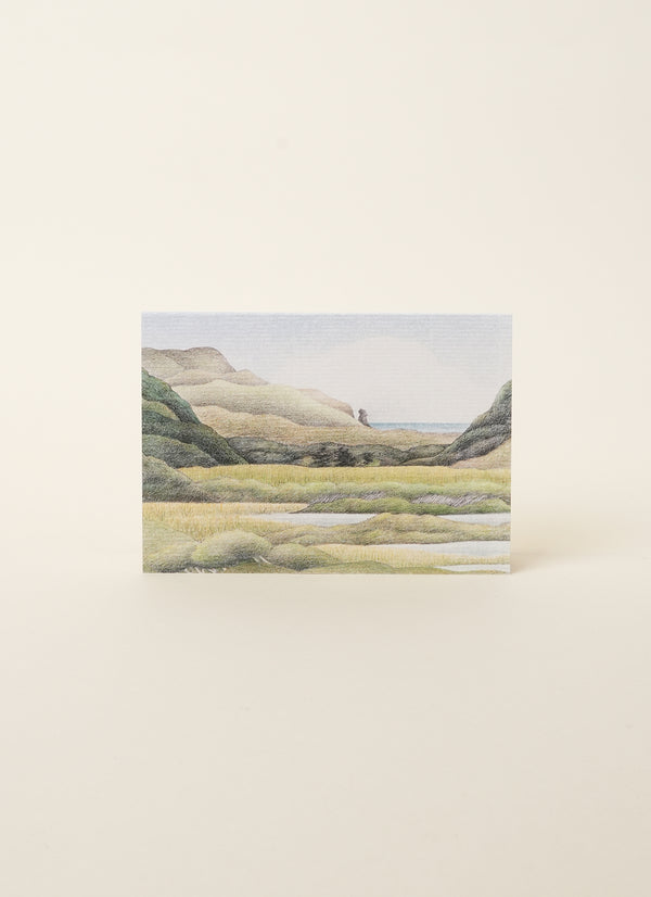 Don Binney Waitākere Coast Cards (10 Variants)