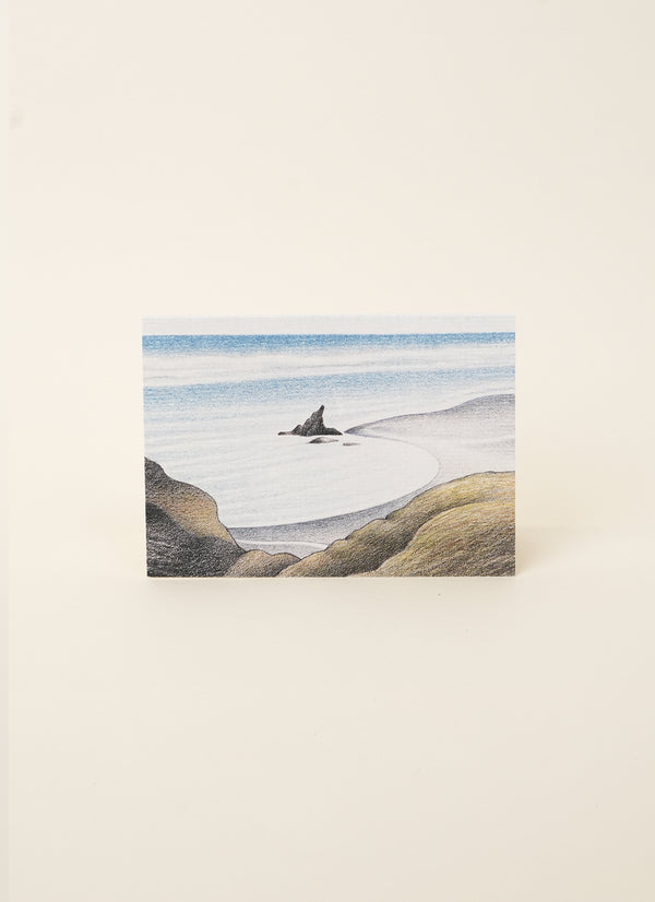 Don Binney Waitākere Coast Cards (10 Variants)