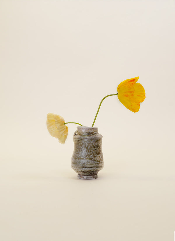 Duncan Shearer Albarello Number 6