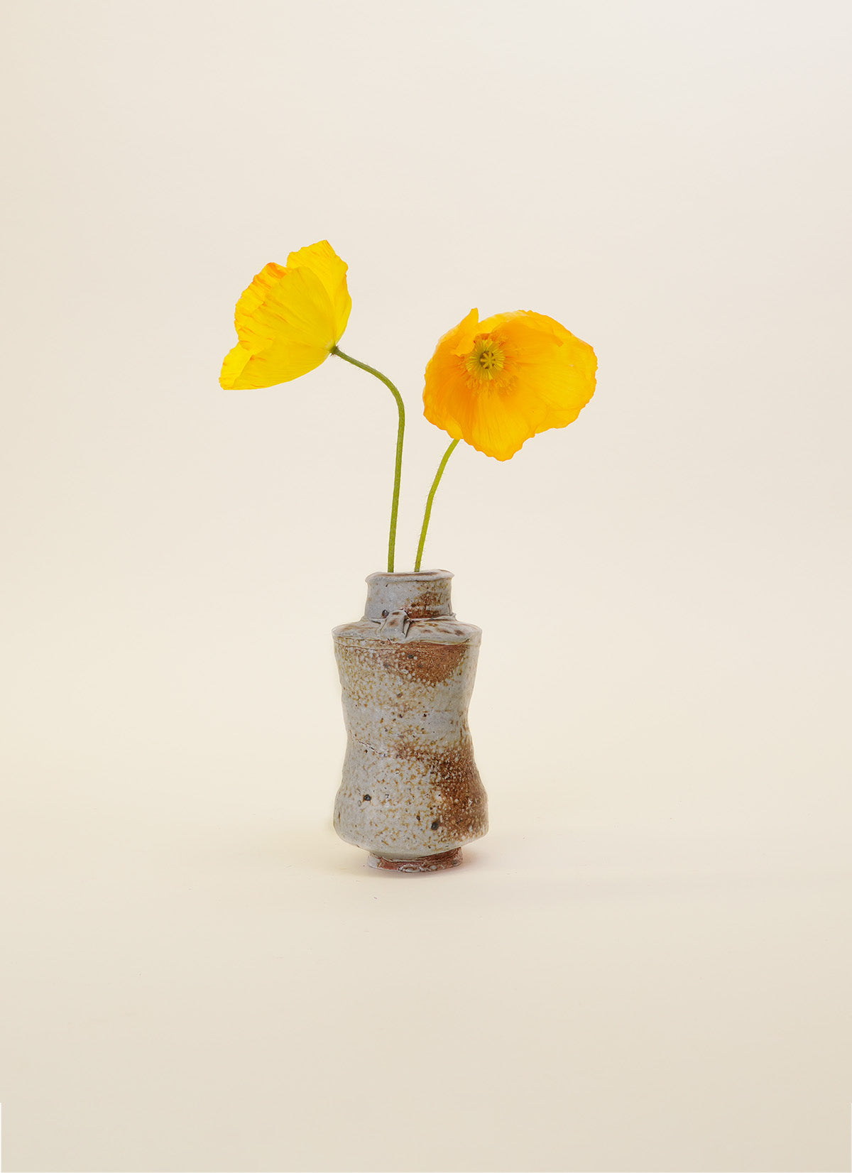 Duncan Shearer Albarello Number 2