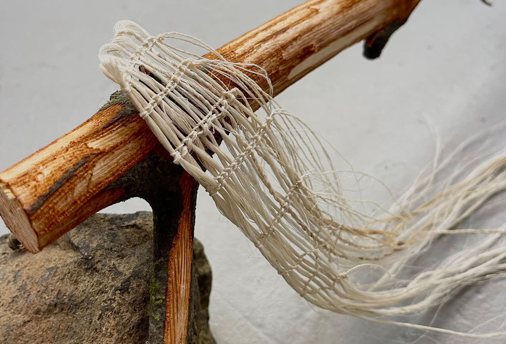 Elam School of Fine Arts | Ngā Ringa Whetū