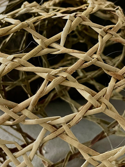 Elam School of Fine Arts | Ngā Ringa Whetū