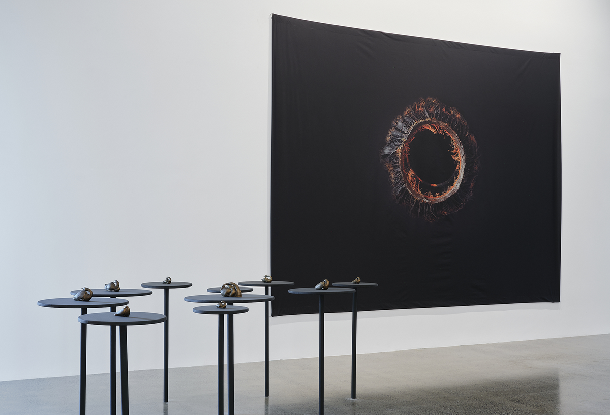 Fatma Bucak | Sound of a Setting Sun exhibition photo