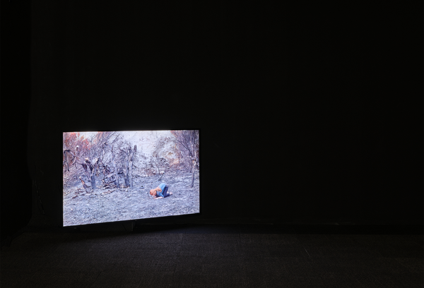 Fatma Bucak | Sound of a Setting Sun exhibition photo