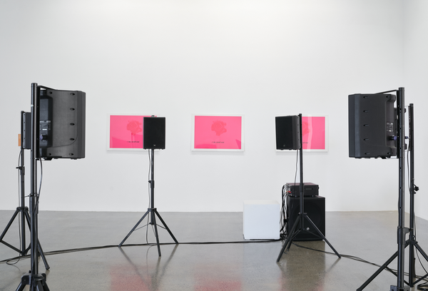 Fatma Bucak | Sound of a Setting Sun exhibition photo