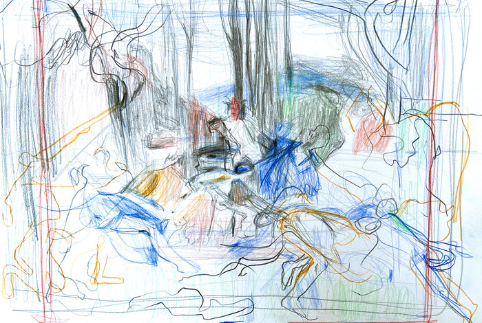 Drawing with Sally Barron Term 4
