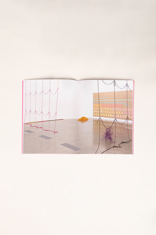 | Giorgio Griffa and Peter Robinson: Differences in kind and rhythm