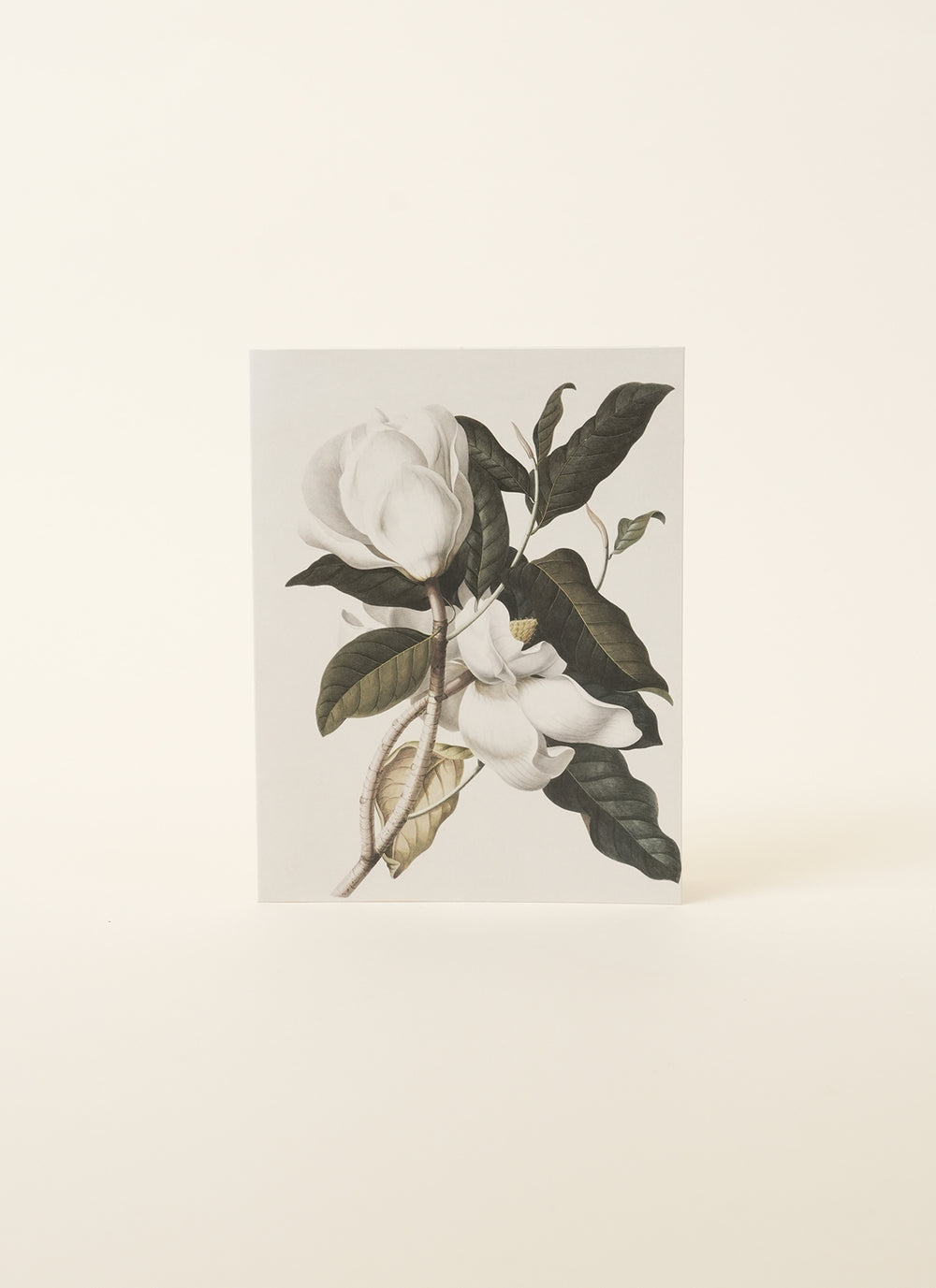 Father Rabbit Gardenia Card